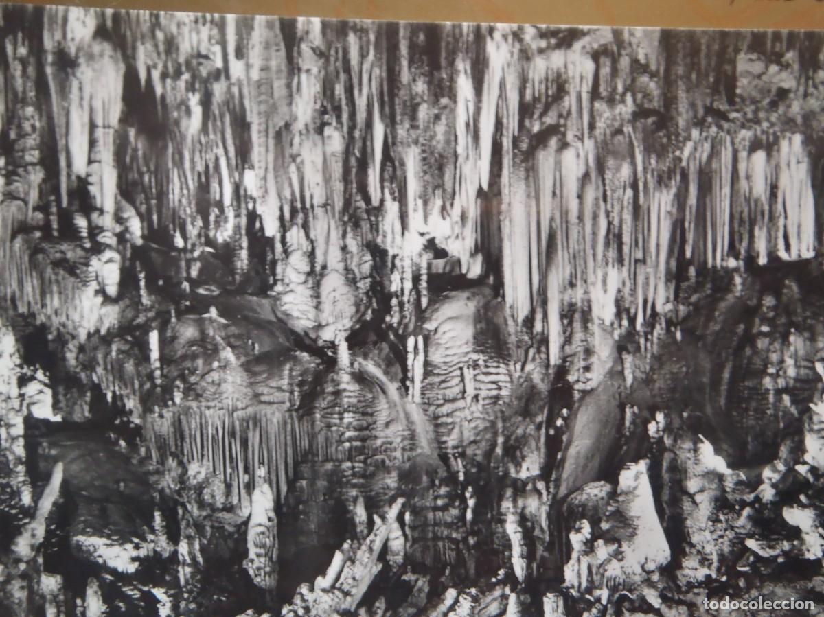 Postales: CUEVA DE NERJA - MALAGA