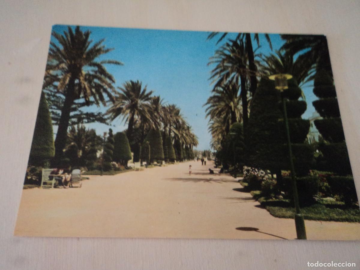 Postales: CADIZ, PARQUE GENOVES, PASEO CENTRAL, ed. arribas