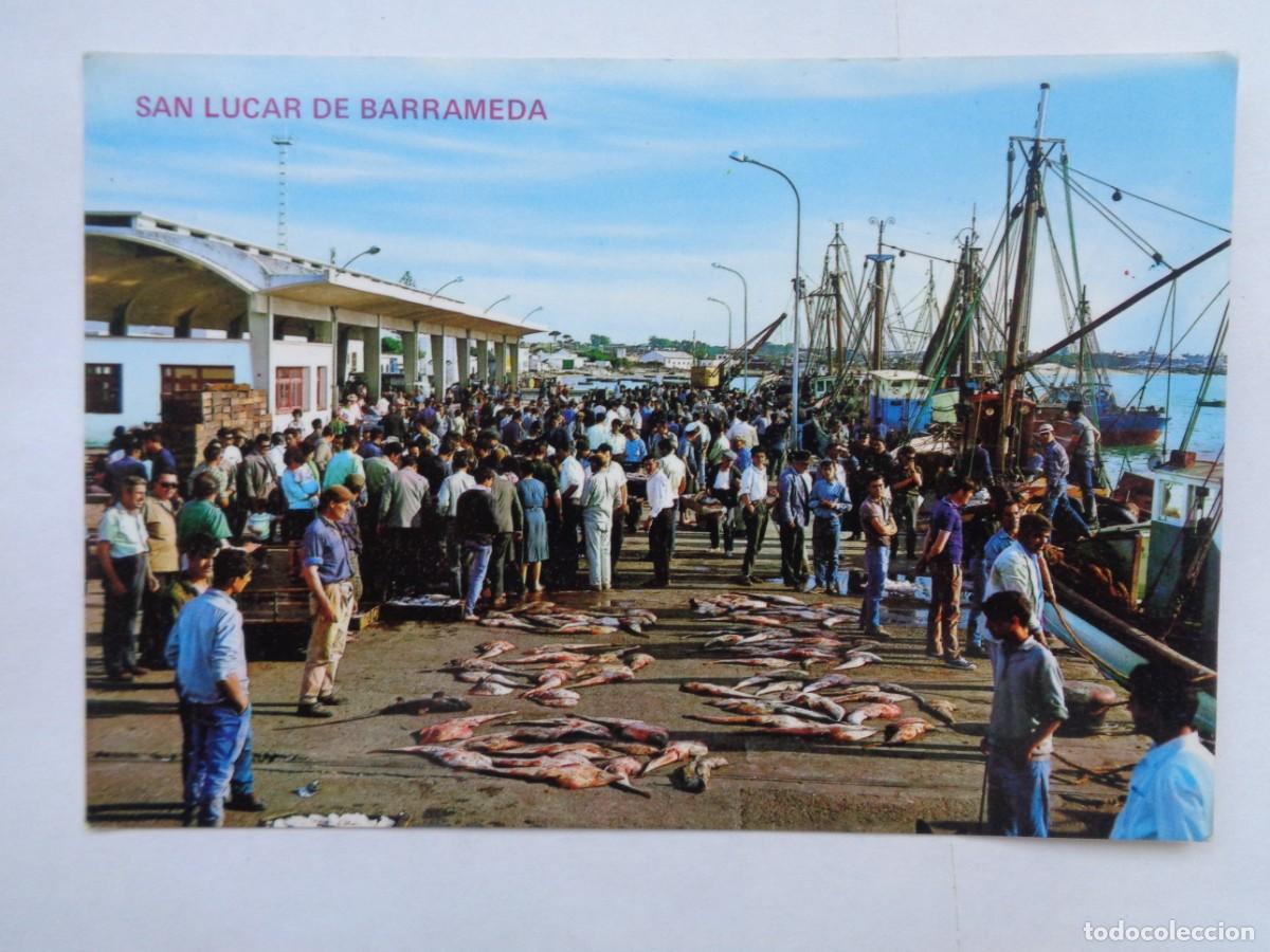 Postales: POSTAL DE SANLUCAR DE BARRAMEDA ( CADIZ ): SUBASTA DEL PESCADO . A&Ntilde;OS 70