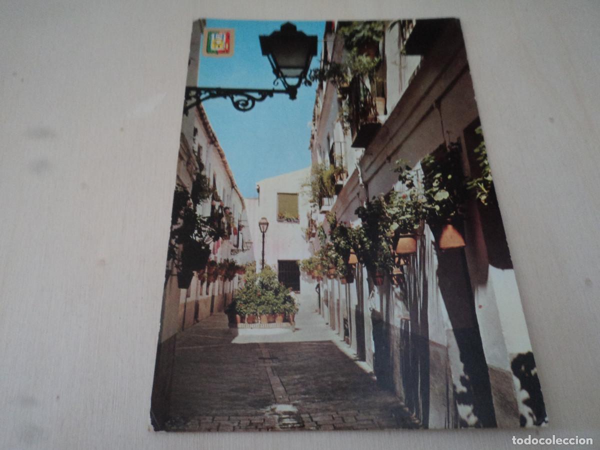Postales: 24 MALAGA. calle tipica victoriana, ed. dominguez
