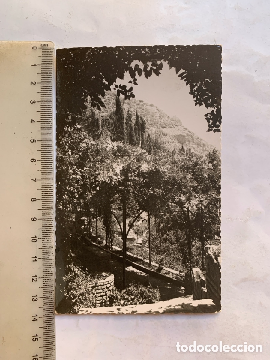 Postales: POSTAL. MALAGA. JARDINES DE PUERTA OSCURA. ED. FOTO CORT&Eacute;S.