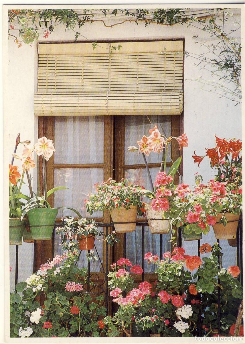 Postales: PRECIOSA POSTAL.- RECUERDO DE MARBELLA.- PERFECTA.-