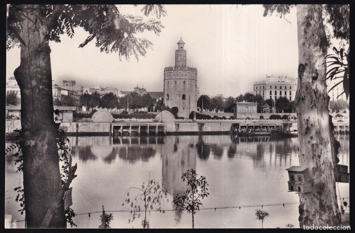 Postales: Sevilla. *Torre del Oro* Escrita. - Foto 1