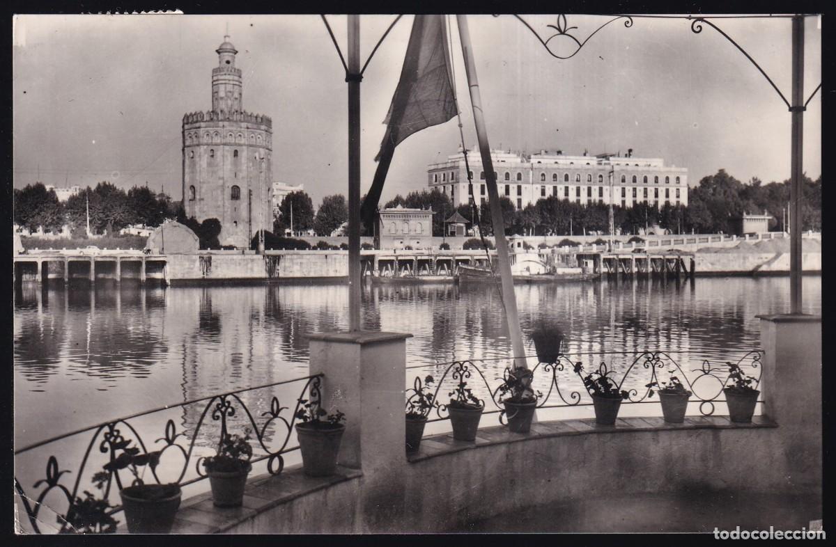 Postales: Sevilla. *Torre del Oro* Circulada 1961. - Foto 1