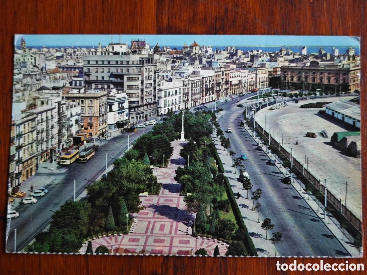 Postales: Cadiz,Avda Ram&oacute;n Carranza.
