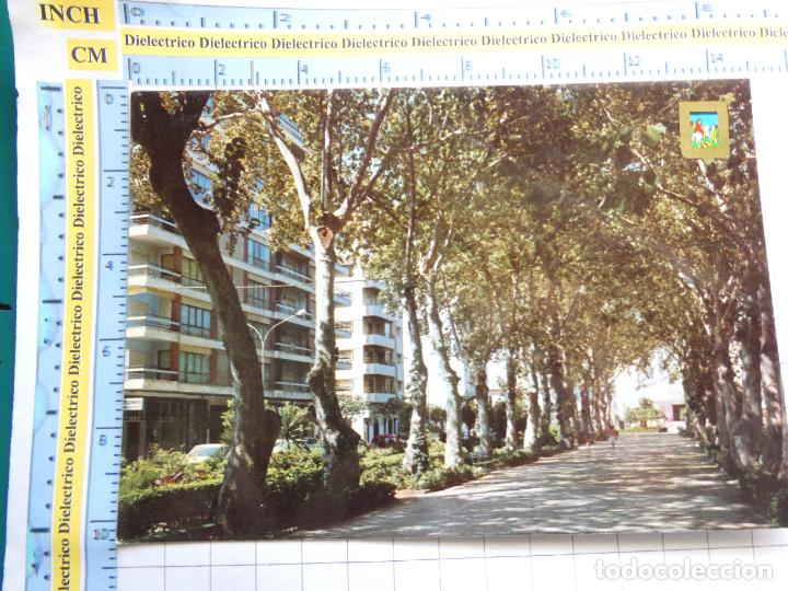Postales: POSTAL DE MALAGA, TORRE DEL MAR. A&Ntilde;O 1980. PASEO DE LARIOS 32 ESCUDO ORO 115