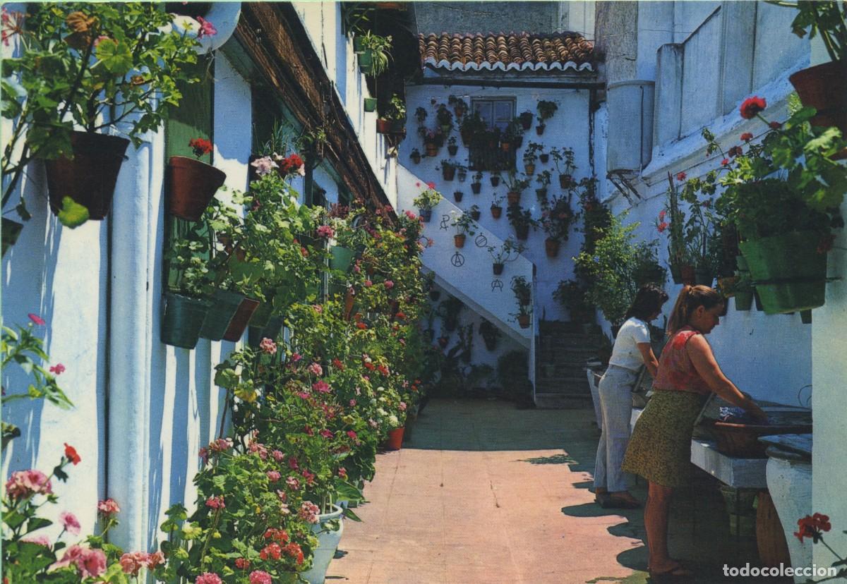 Postales: N&ordm; 1871-M&Aacute;LAGA. Costa del Sol. Patio t&iacute;pico del Barrio de Capuchinos. C&aacute;si n&aacute;! ED. POSTALES COSTA DE