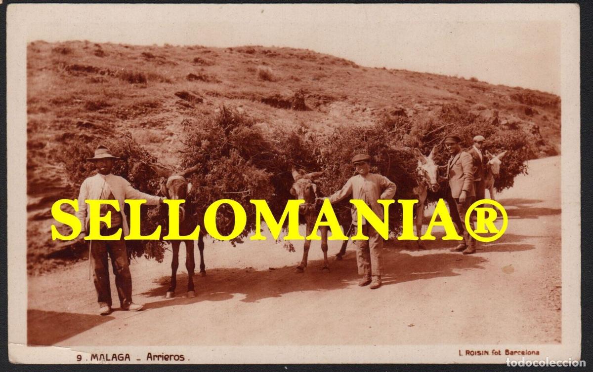 Postkarten: POSTAL A&Ntilde;OS 1920 MALAGA ARRIEROS BURROS DONKEYS BILL HOPKINS L. ROISIN TCP00092
