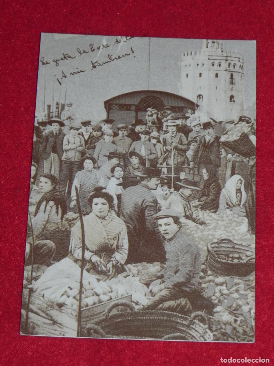 Cartoline: Postal Antigua Colecci&oacute;n Diar&iacute;o 16 (La Sevilla que se fu&eacute;) N&ordm; 73 (Ver otra foto).