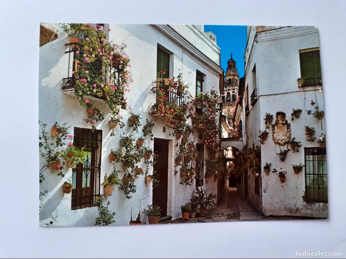 Postcards: POSTAL - ANDALUCIA CALLE TIPICA - RO FOTO 434 - S/C