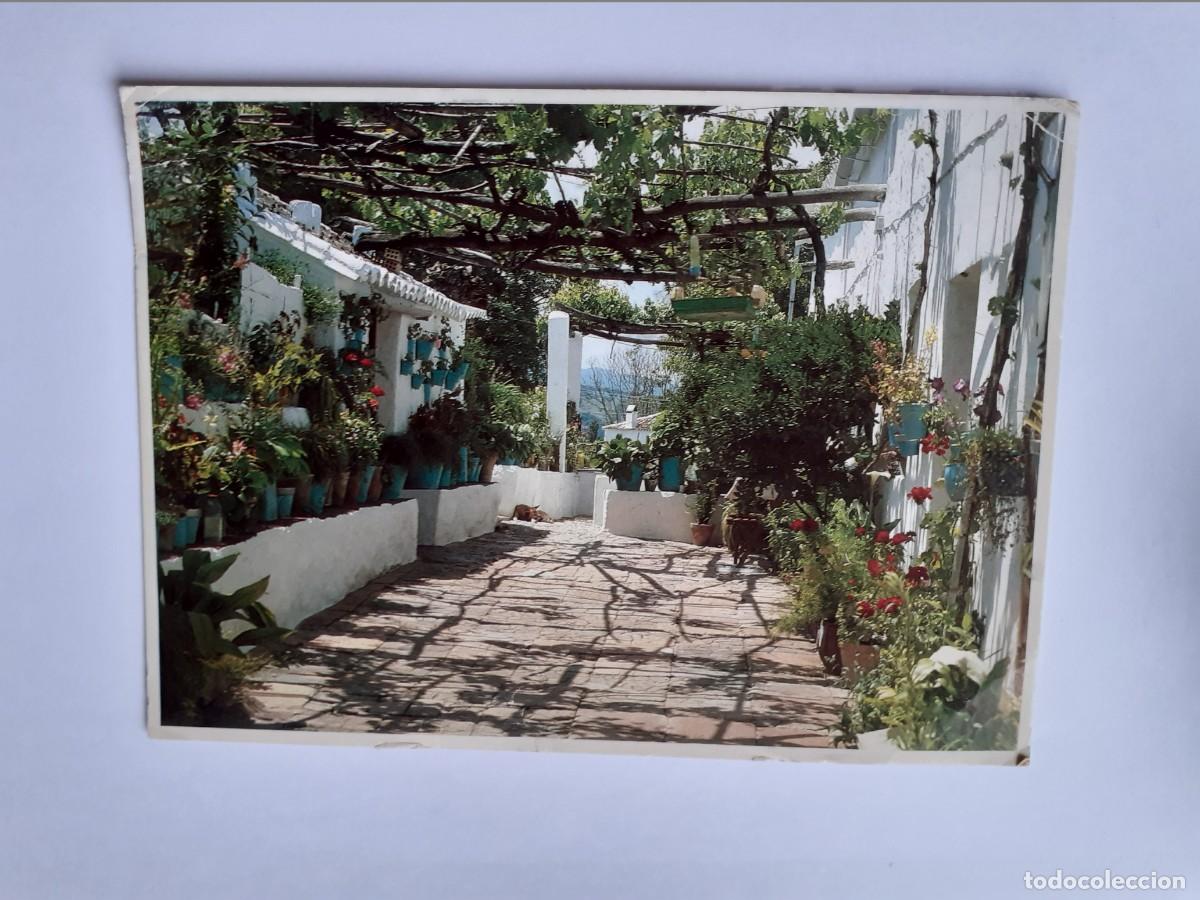 Postcards: POSTAL - ANDALUCIA DETALLE PATIO - S/C