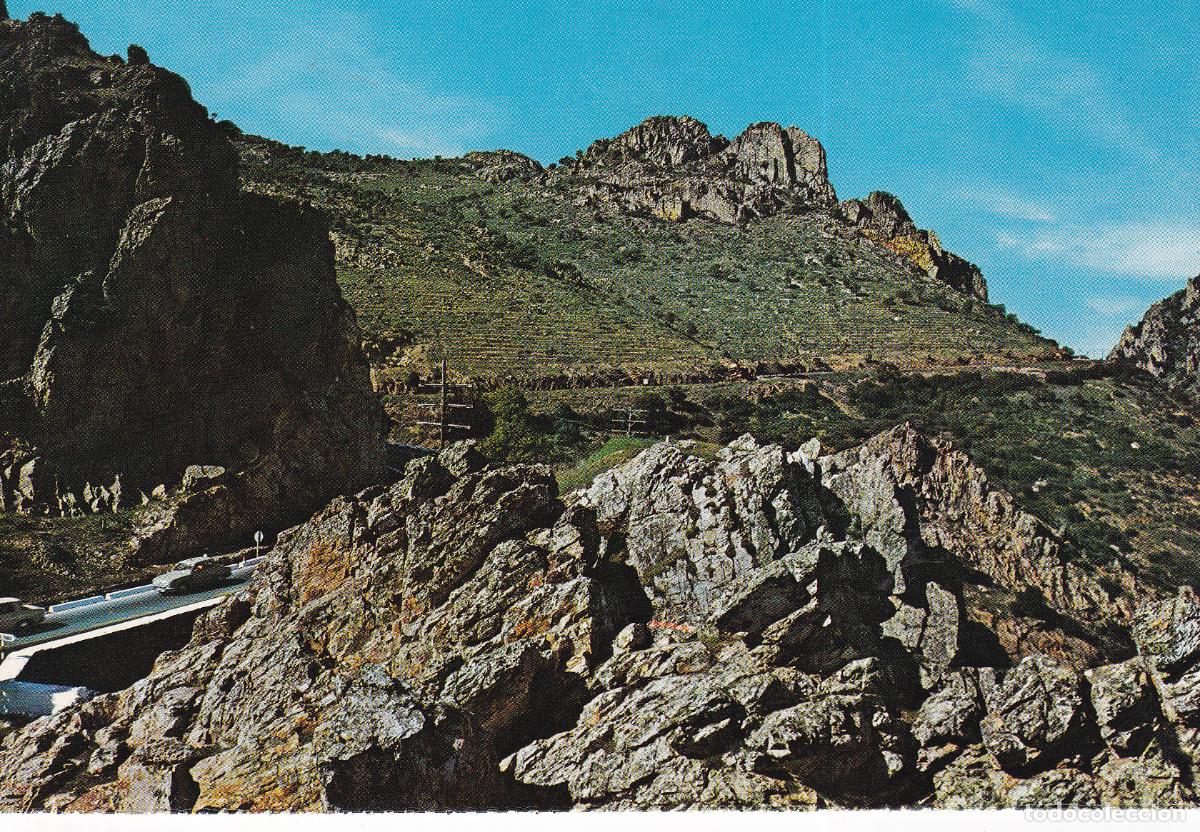 Postales: DESPE&Ntilde;APERROS - Foto 1