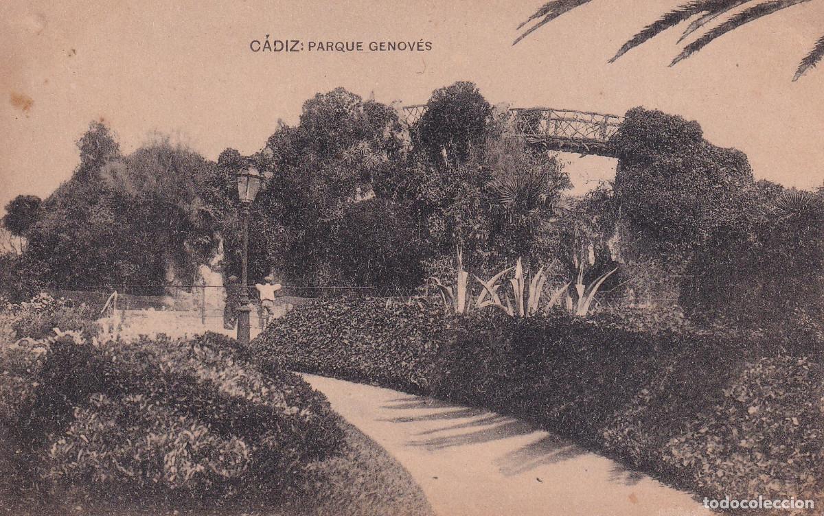 Postales: CADIZ PARQUE GENOVES