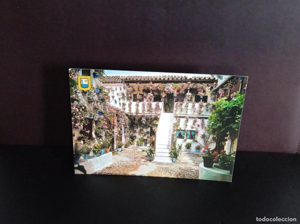 Postales: P1537 Postal 36 Costa del Sol T&iacute;pico patio Andaluz. L. Dom&iacute;nguez