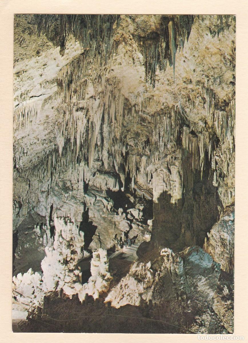 Postales: CUEVA DE NERJA (MALAGA). SALA DE LOS FANTASMAS (1968)