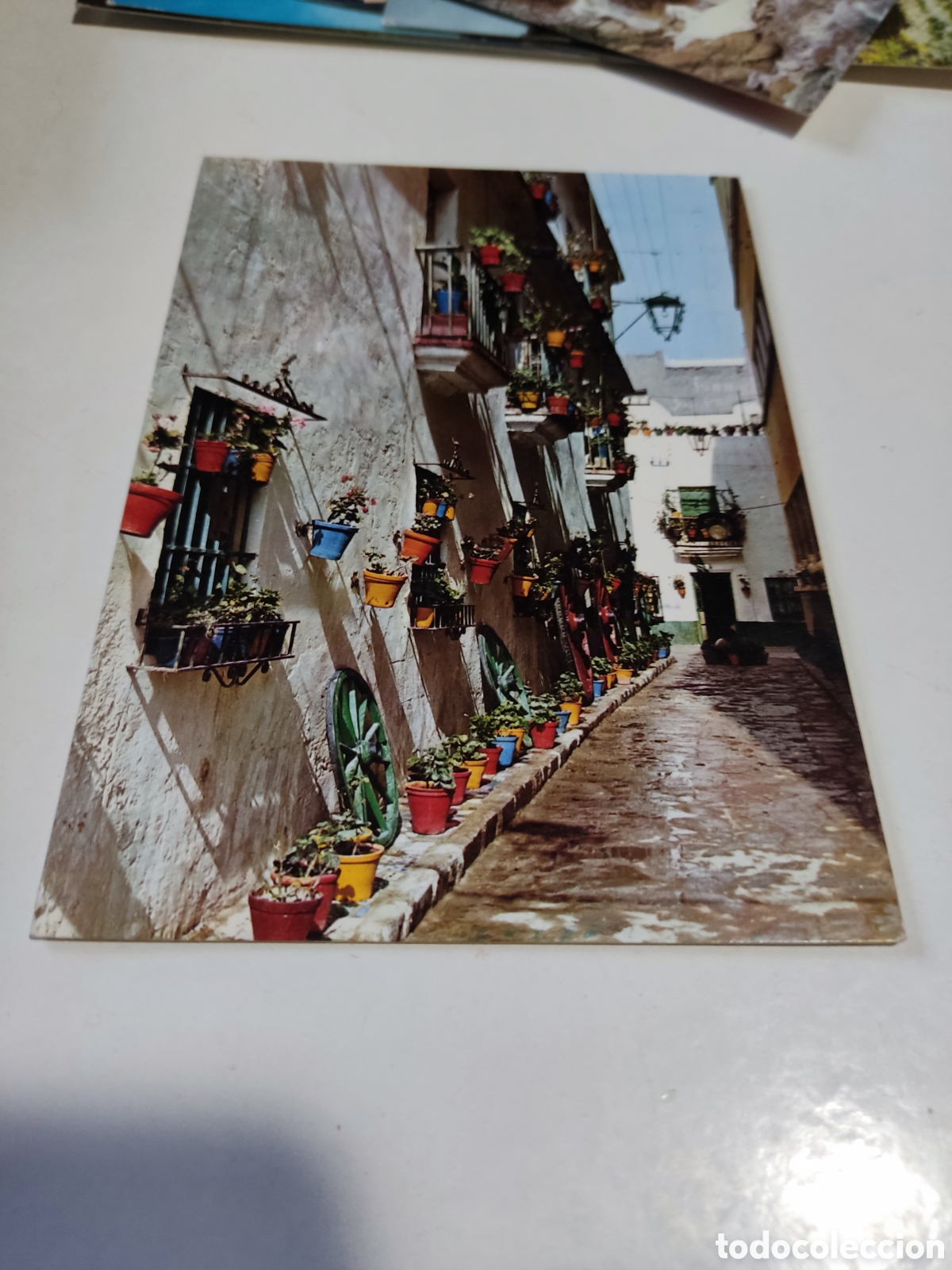 Postales: Postal C&aacute;diz - Foto 1