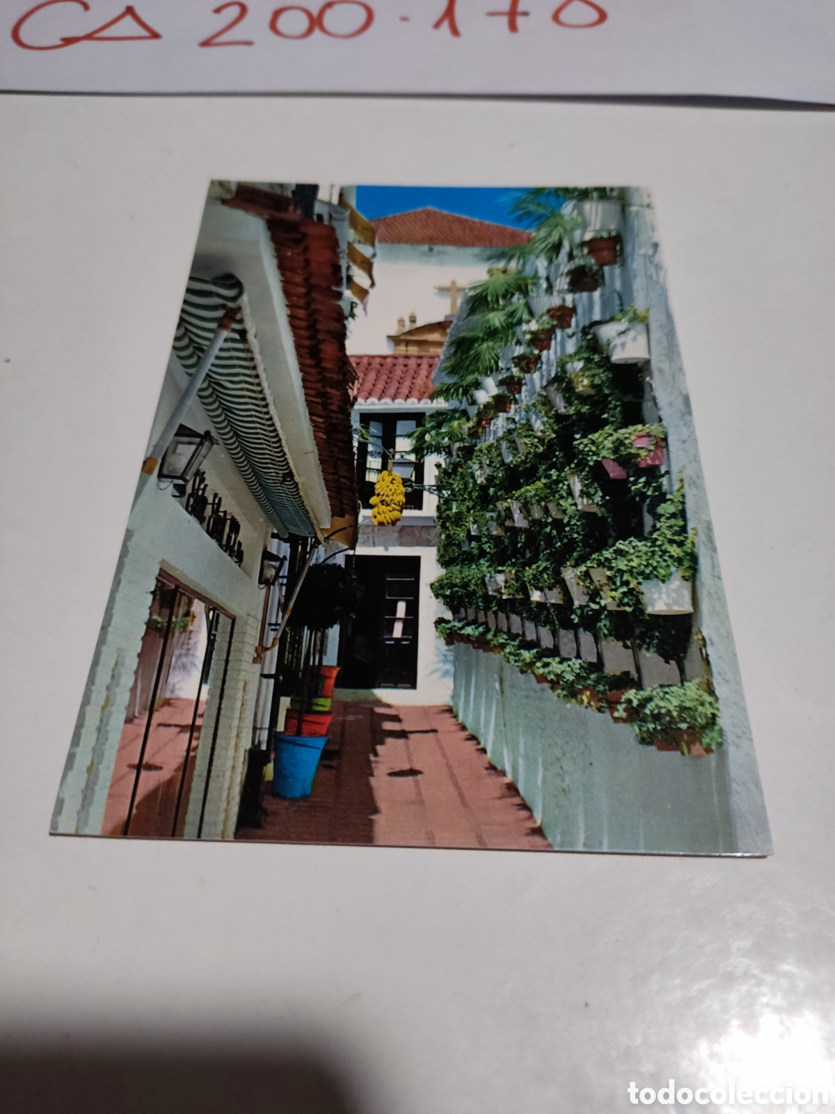 Postales: Postal Marbella - Foto 1