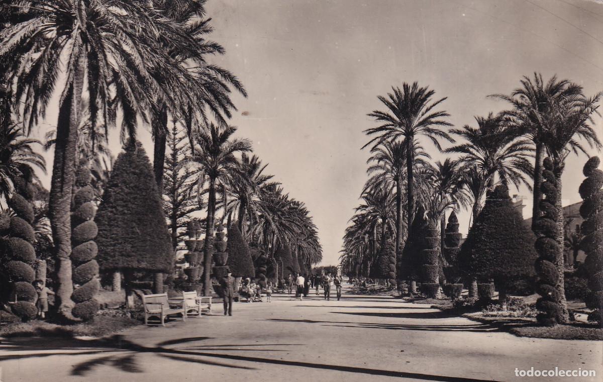 Postales: CADIZ PARQUE DE GENOVEZ PASEO
