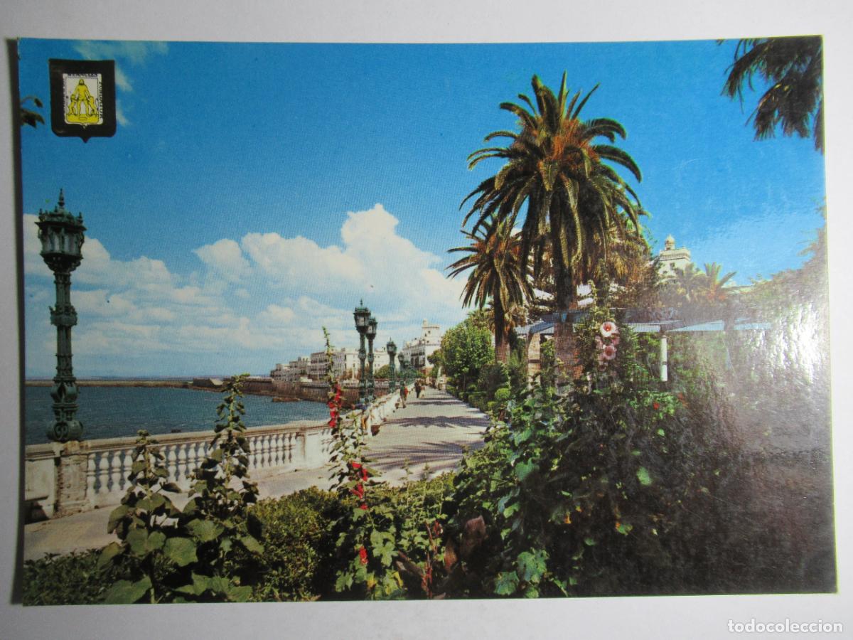Postales: C&aacute;diz - Alameda Marqu&eacute;s de Comillas - Foto 1