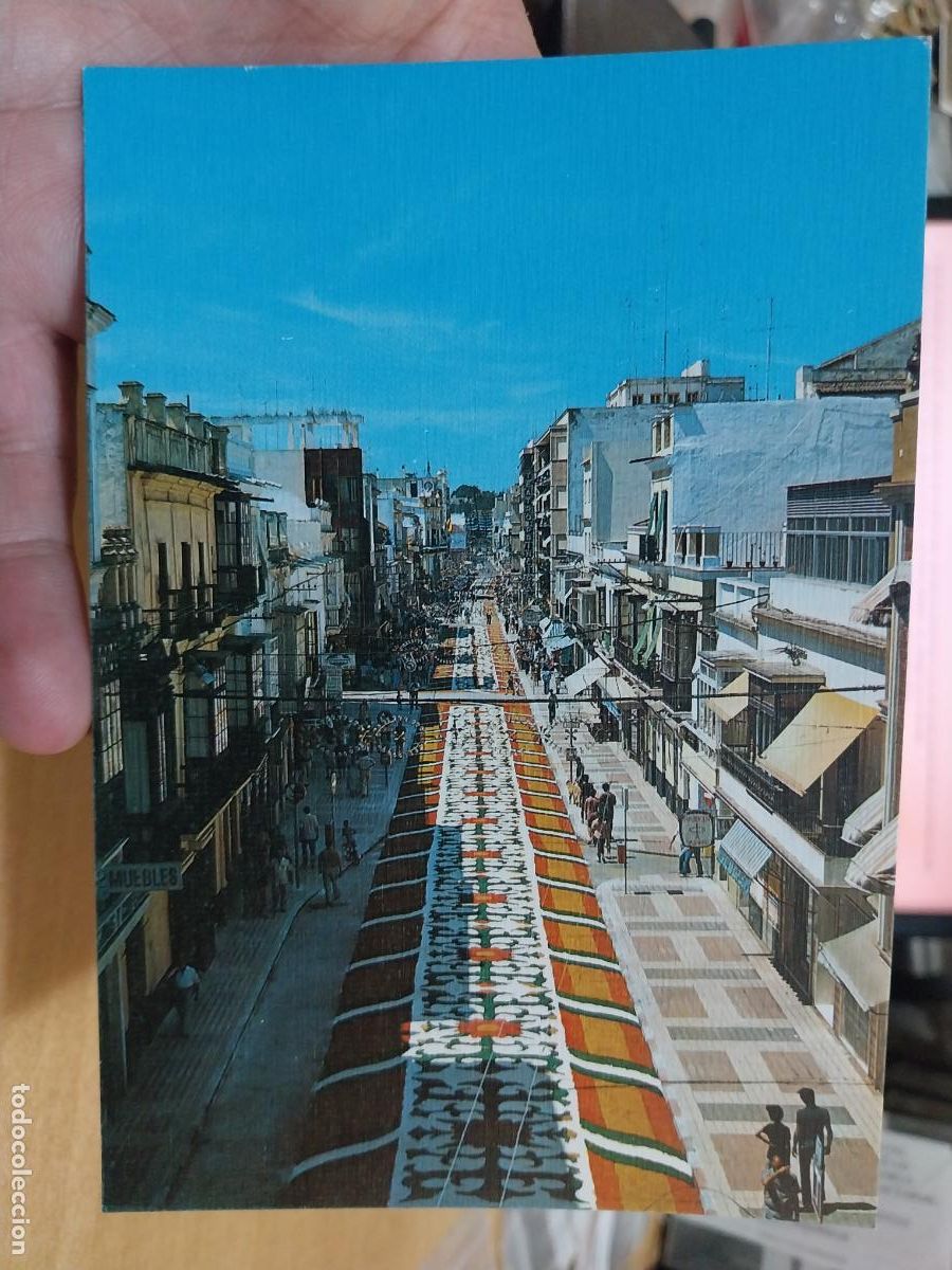 Postcards: SANLUCAR BARRAMEDA ALFONBRILLA FLORES ED ARRIBAS 51 SC
