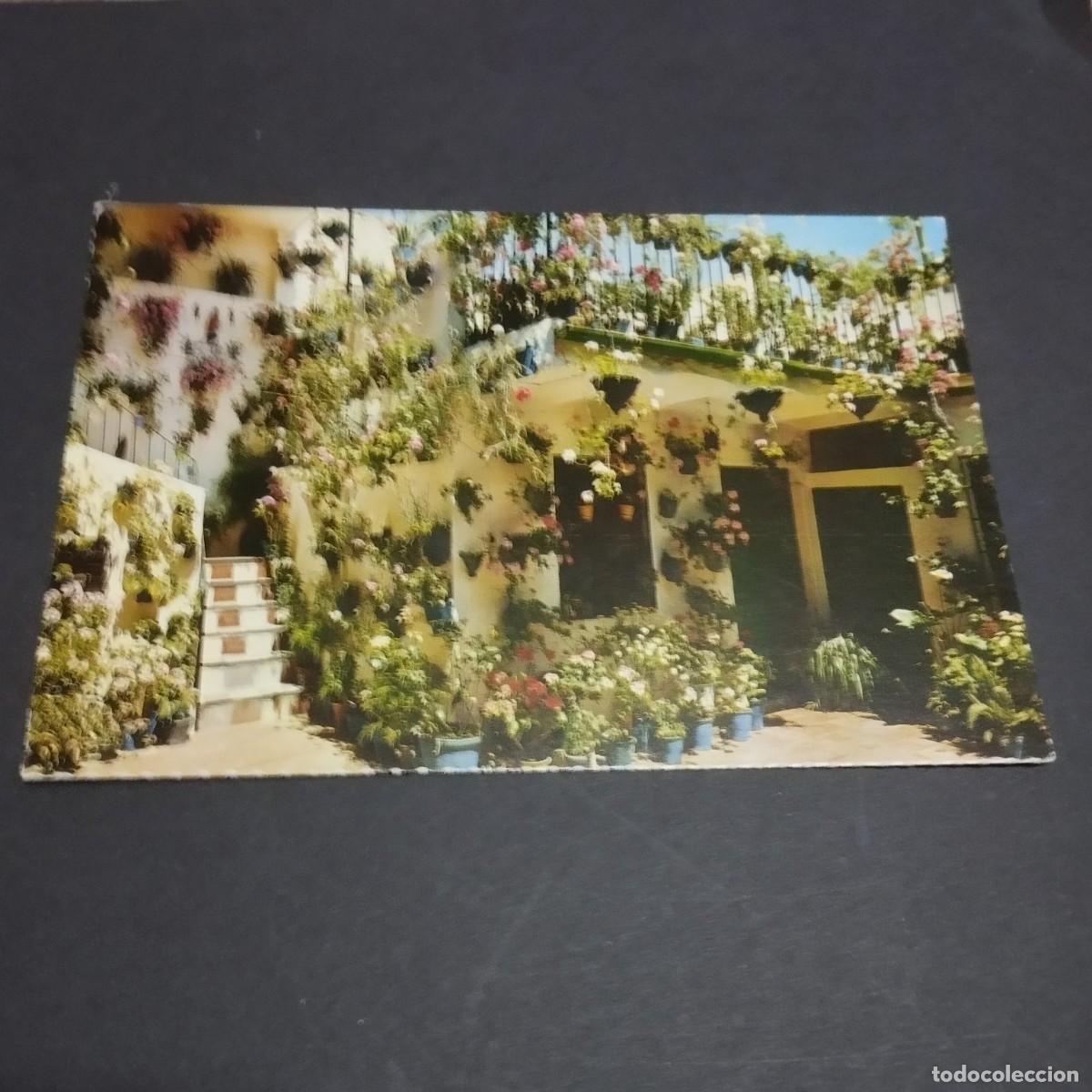 Cartoline: POSTAL DE PATIO CORDOB&Eacute;S - BONITAS VISTAS -LA DE LA FOTO VER TODAS MIS POSTALES