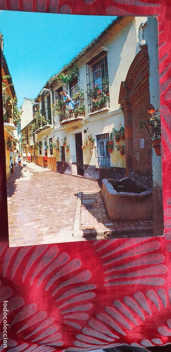 Cartes Postales: MALAGA-RVM-150X105mm.-COSTA DEL SOL-CIRCULADA-CALLE TIPICA