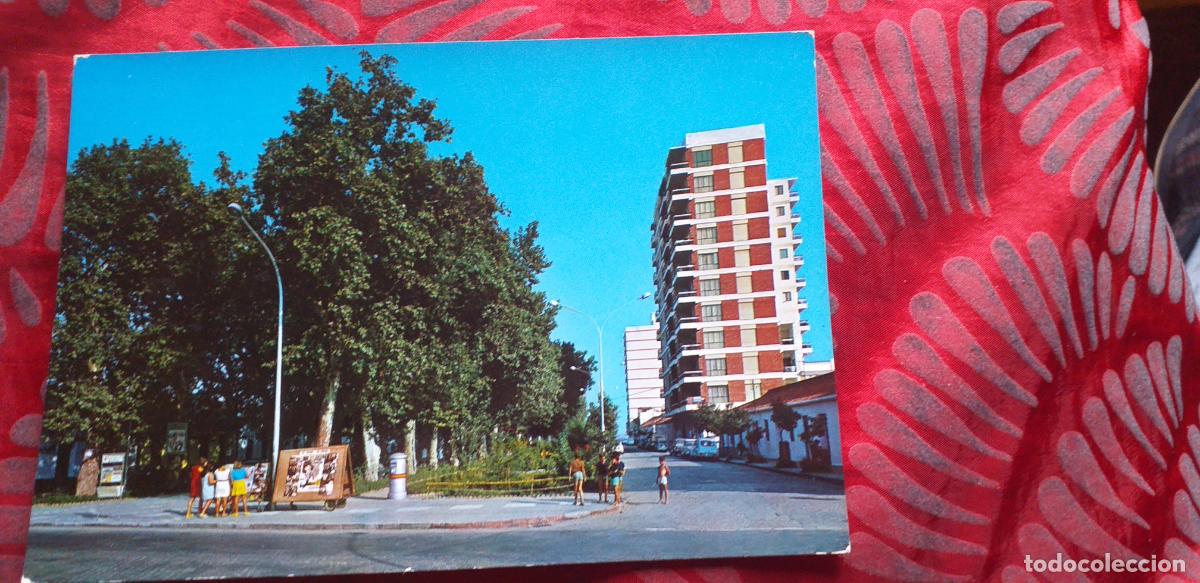 Postales: MALAGA-RVM-150X105mm.-COSTA DEL SOL-NO ESCRITA-TORRE DEL MAR-VISTA PARCIAL DEL PASEO