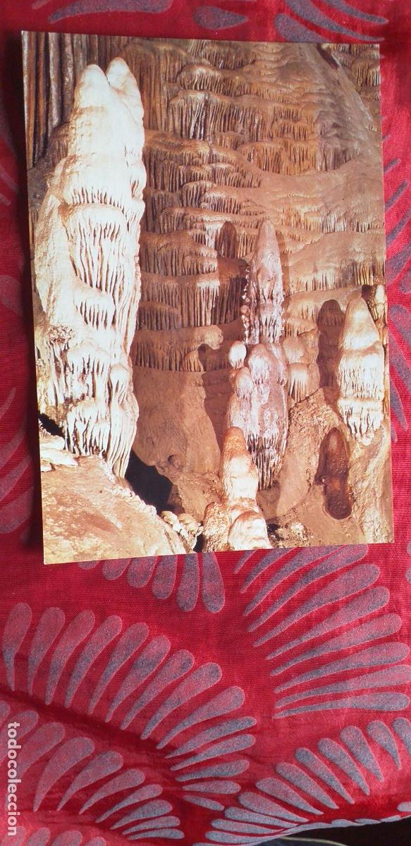 Postales: MALAGA-RVM-150X105mm.-NO ESCRITA-CUEVA DE NERJA-EL CORDERITO-SALA DEL CATACLISMO