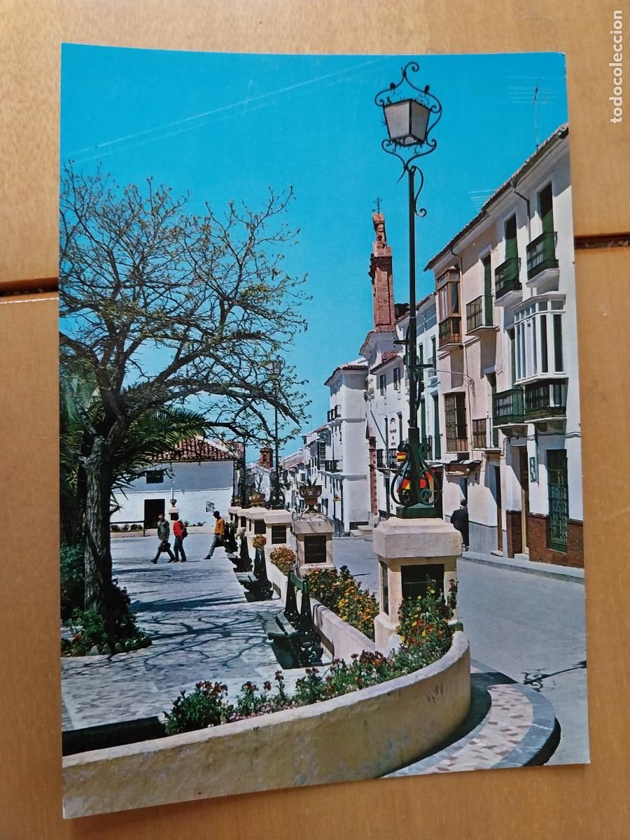 Postais: ARCHIDONA EL PASEO ED VALDIVIESO P 312 ANIMADA