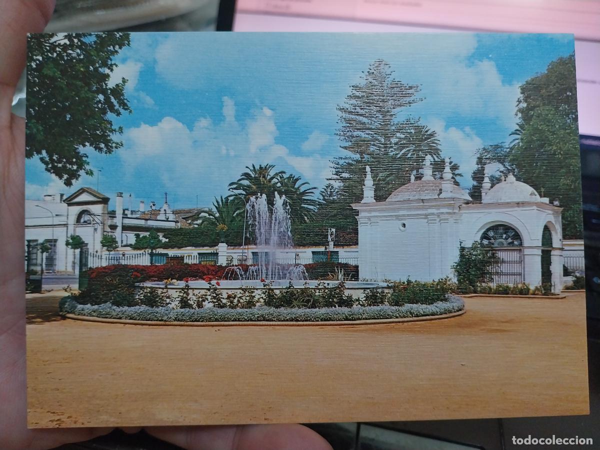 Postales: PUERTO SANTA MARIA PASEO DE LA VICTORIA ED ARRIBAS 64 SC