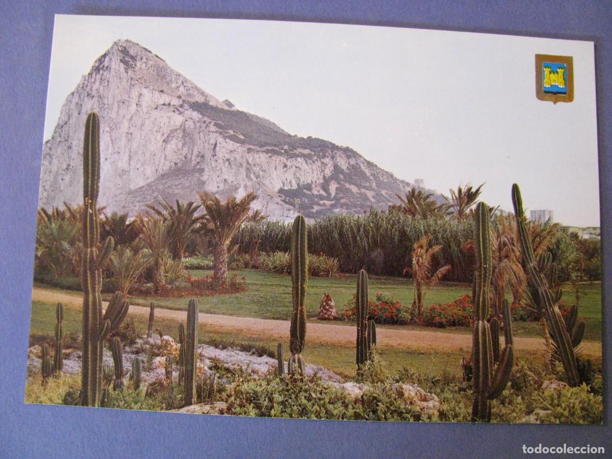 Postales: POSTAL DE LA LINEA. PARQUE BOTANICO AL FONDO EL PE&Ntilde;ON DE GIBRALTAR. SUBIRATS CASANOVAS.