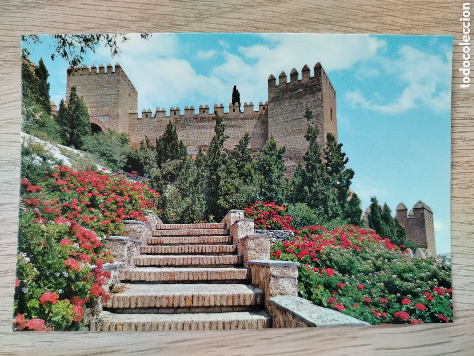 Postales: POSTAL ALMERIA