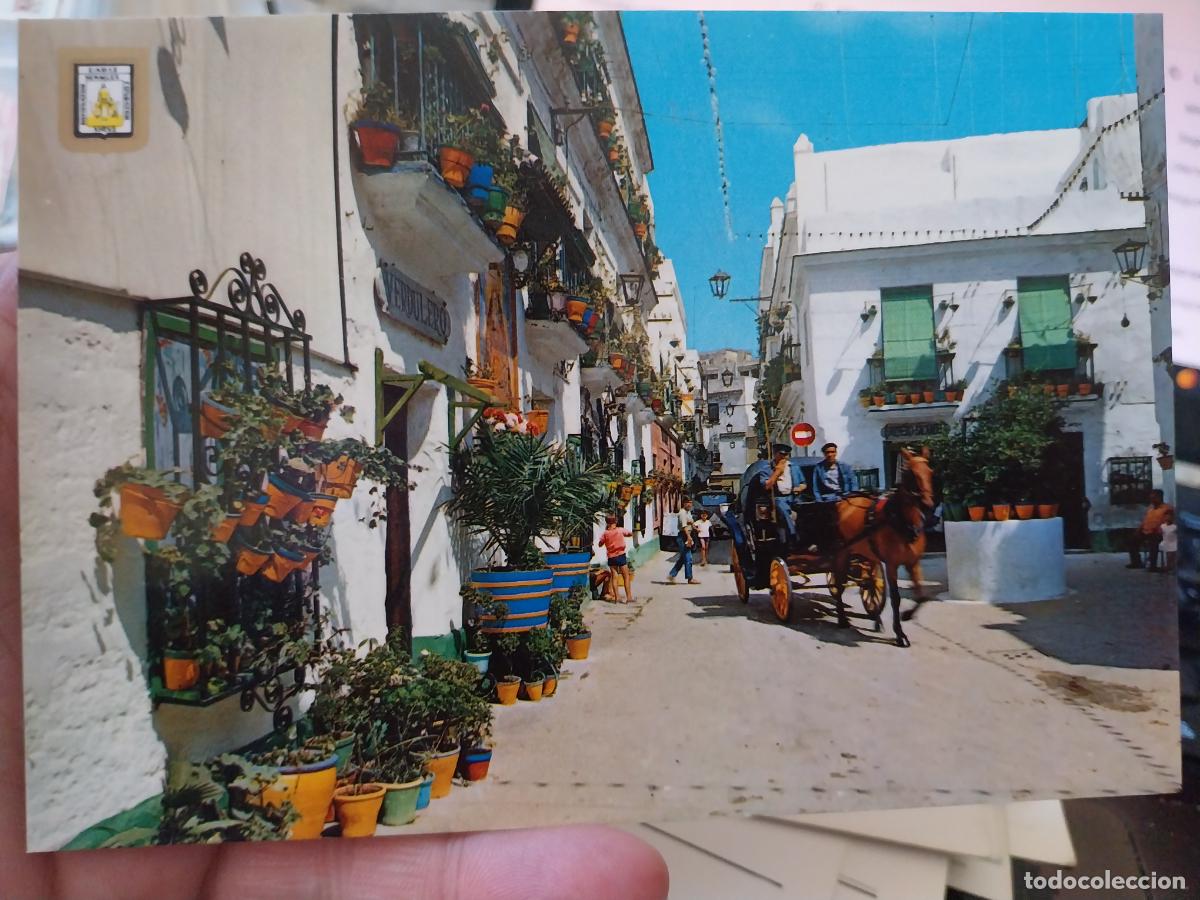 Postales: CADIZ PLAZUELA TIO DE LA TIZA ED FISA 1206 SC