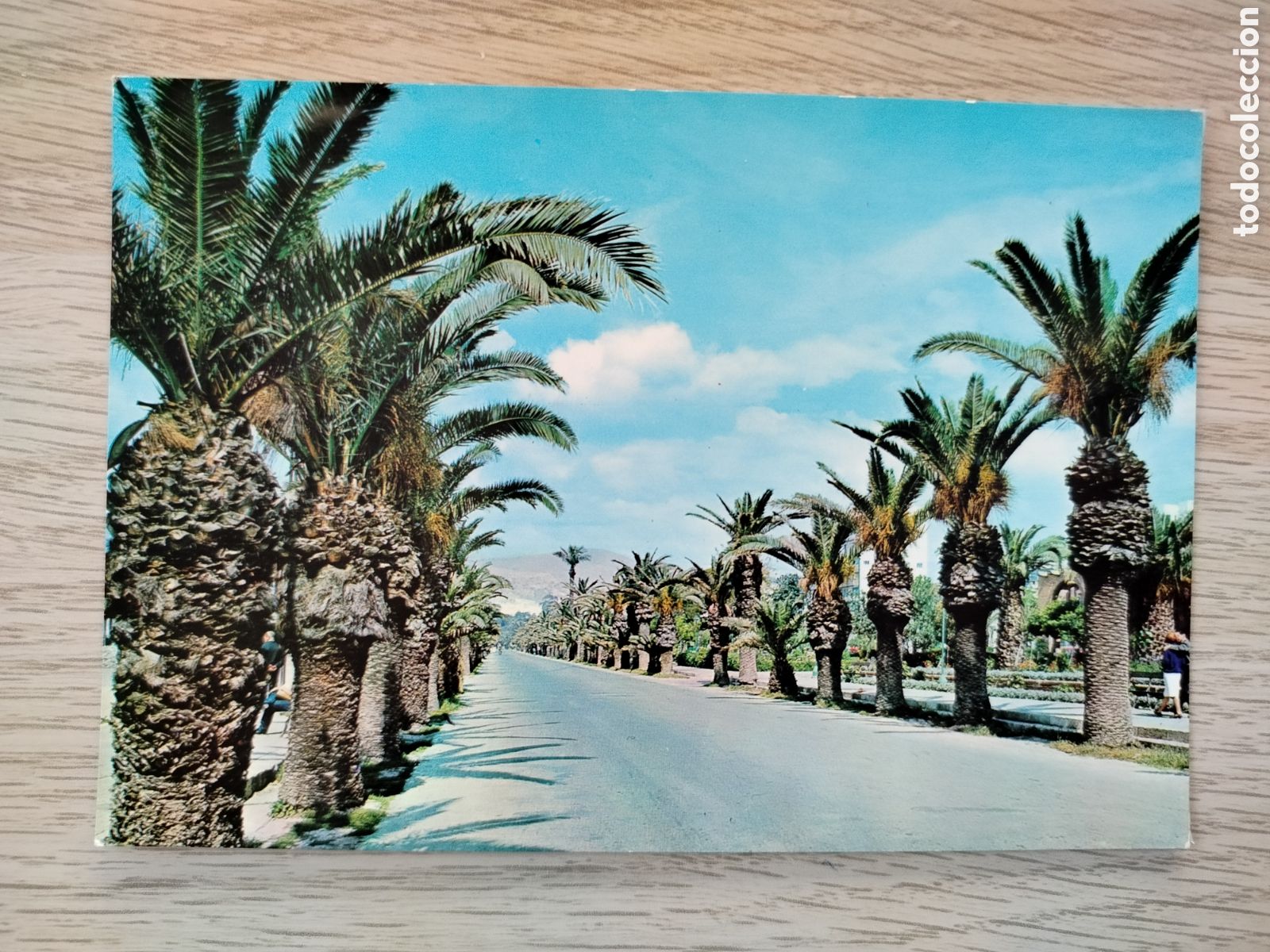 Postales: POSTAL ALMERIA