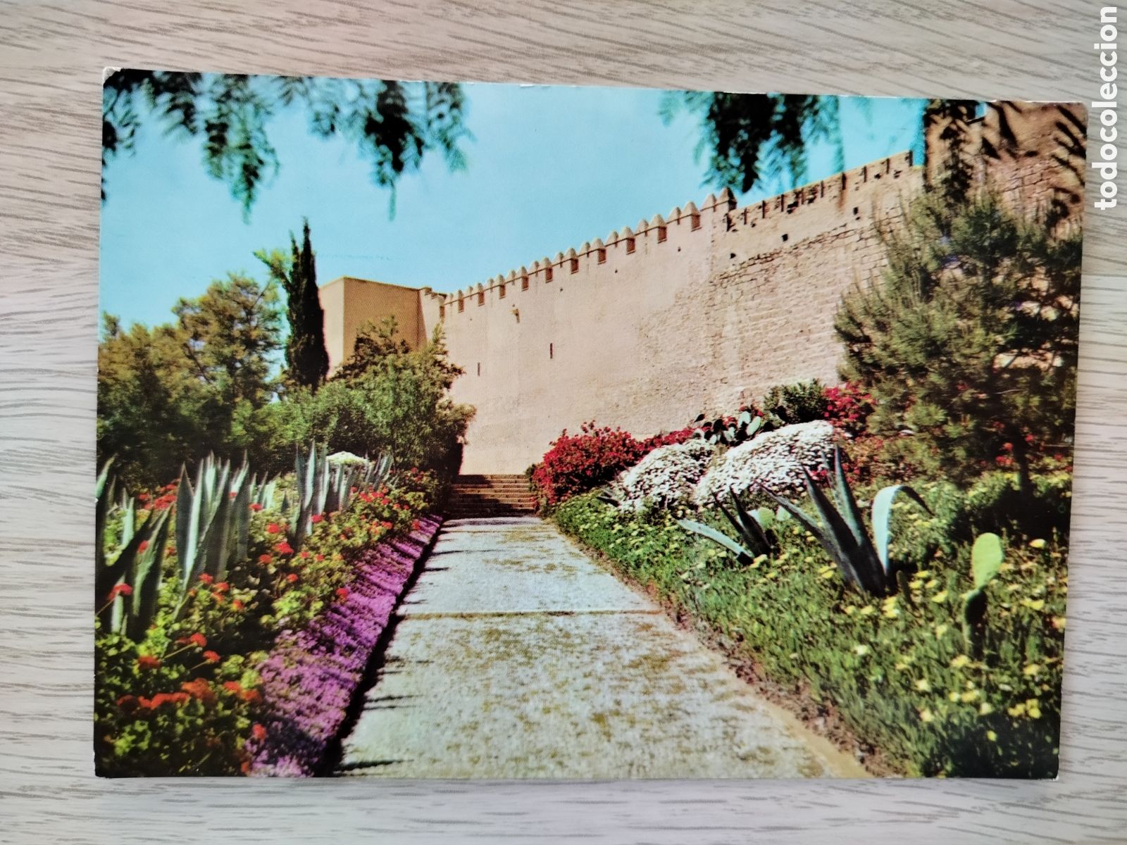 Postales: POSTAL ALMERIA