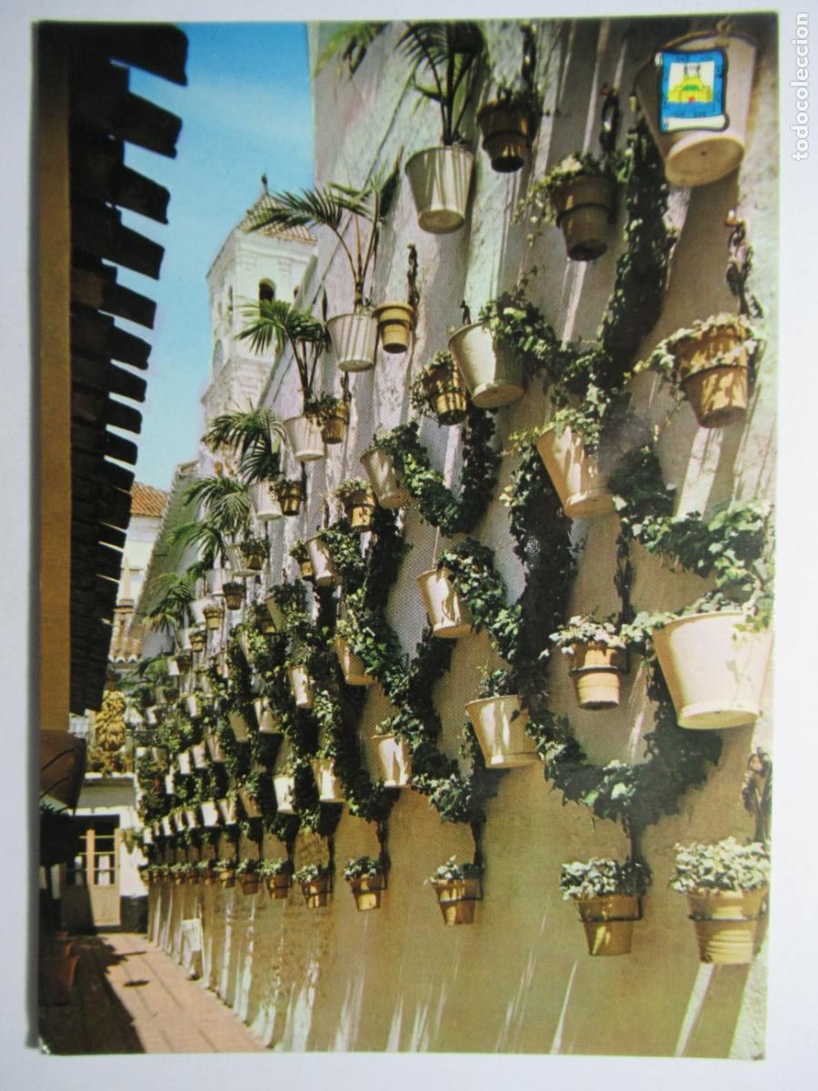 Postales: Marbella - Calle T&iacute;pica - Foto 1