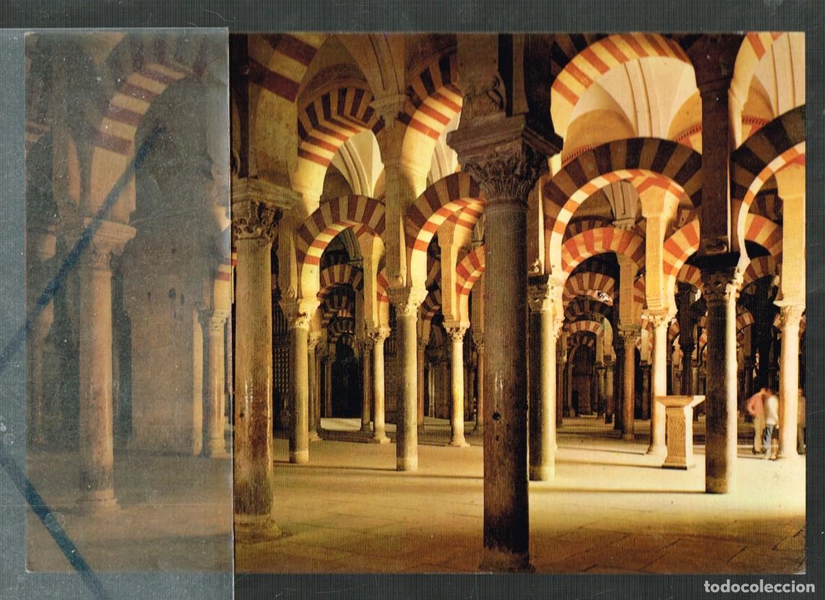 Postales: ANTIGUA S/C COLOR LA MEZQUITA DE C&Oacute;RDOBA ''EL BOSQUE DE COLUMNAS'' ANDALUC&Iacute;A ESPA&Ntilde;A
