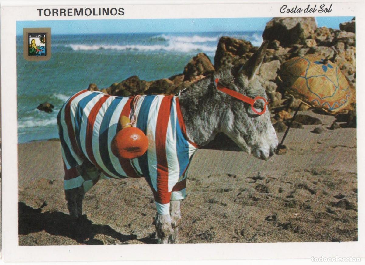 Postales: Torremolinos- M&aacute;laga-circulada- - Foto 1