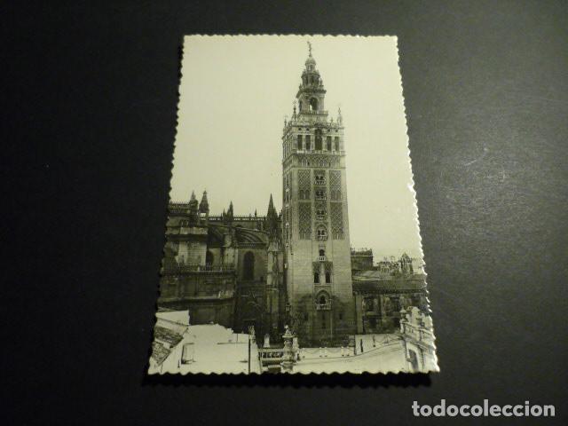 Postales: SEVILLA LA GIRALDA - Foto 1