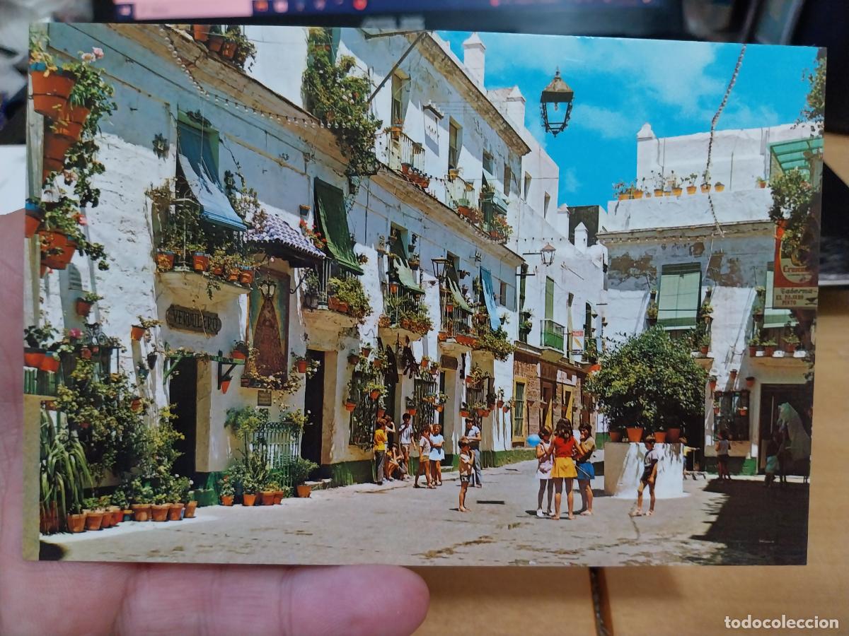 Postales: CADIZ PLAZA TIO DE LA TIZA ED PAPELERIA ALFA 128 SC
