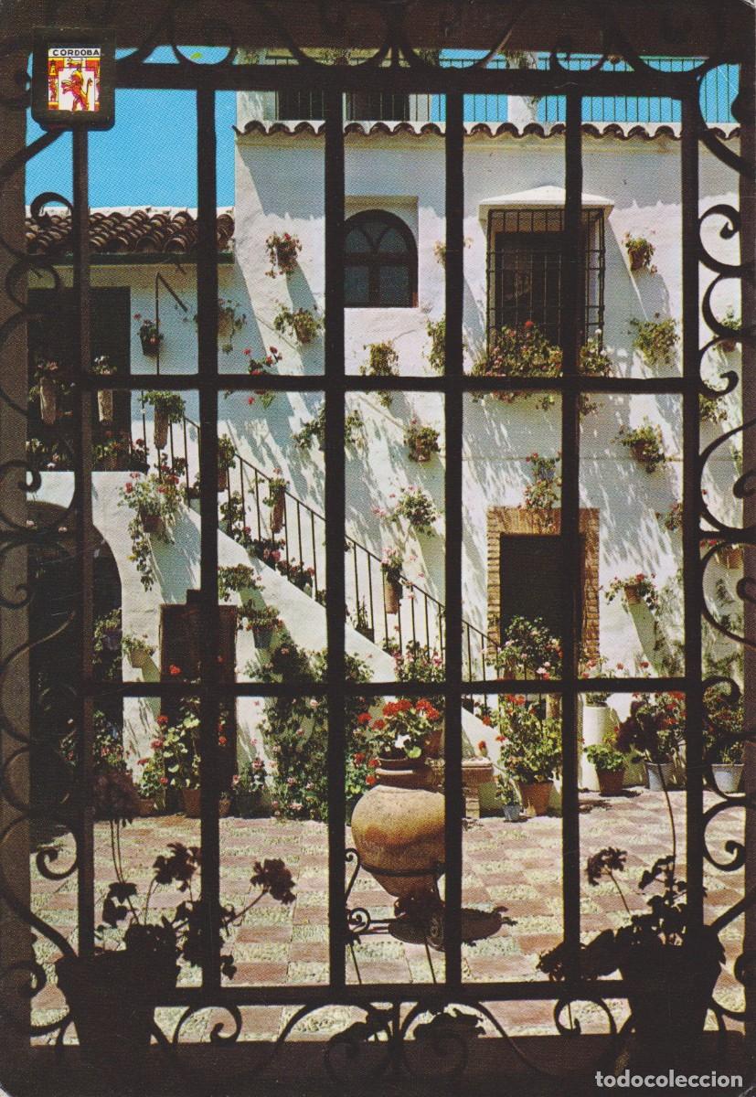 Postales: (810) CORDOBA. PATIO CORDOBES