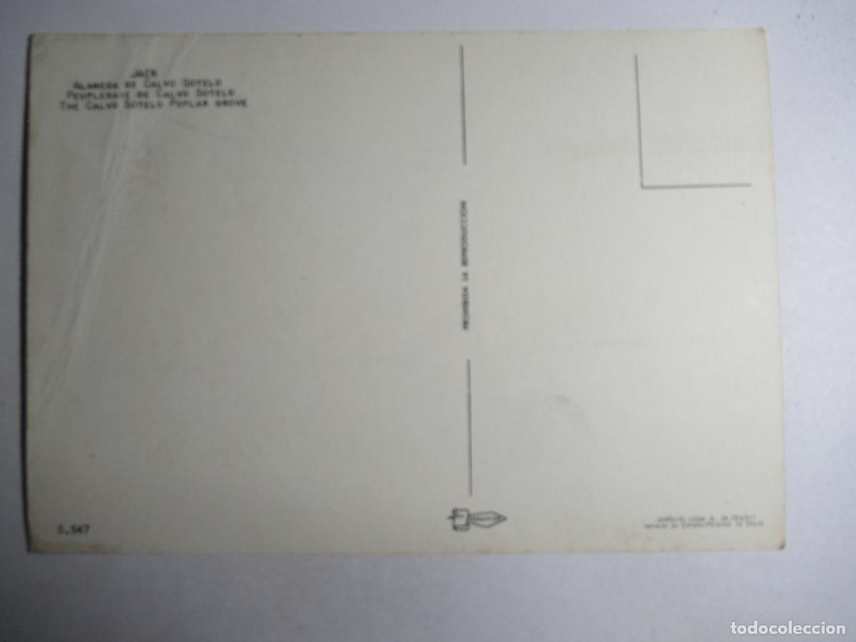 Postales: Ja&eacute;n - Alameda de Calvo Sotelo - Foto 2