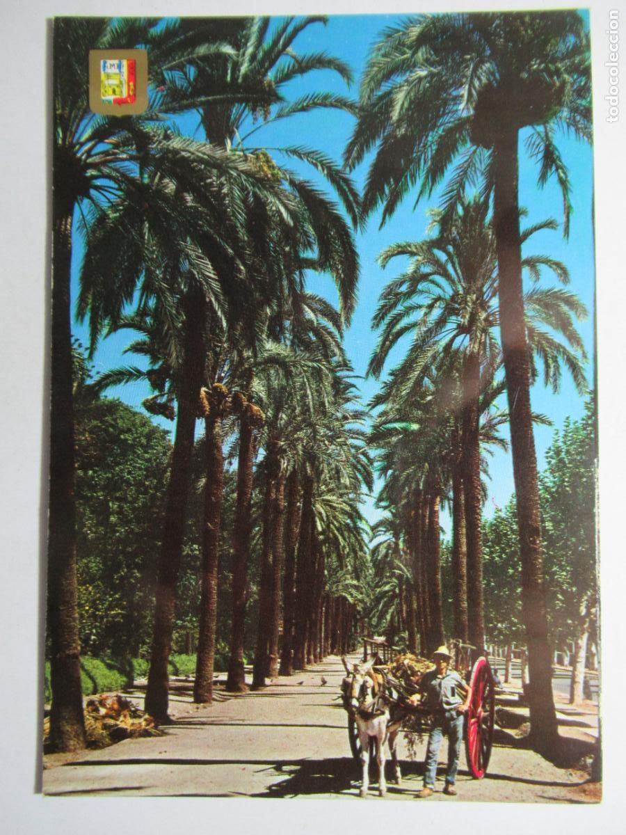 Postales: M&aacute;laga - Parque Paseo de Palmeras - Foto 1