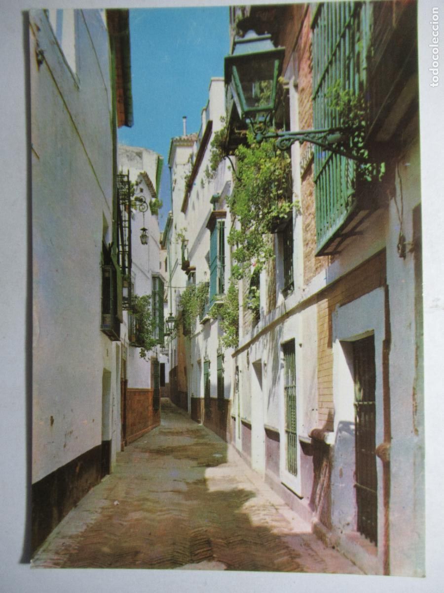 Postales: Sevilla - Calle de la Pimienta - Foto 1