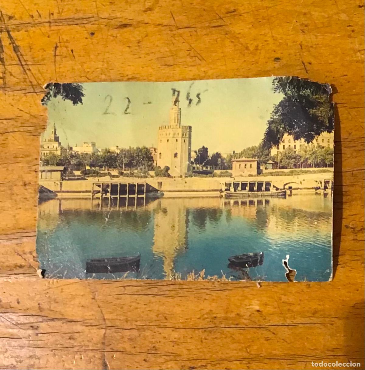 Postales: TORRE DEL ORO, SEVILLA - Foto 1