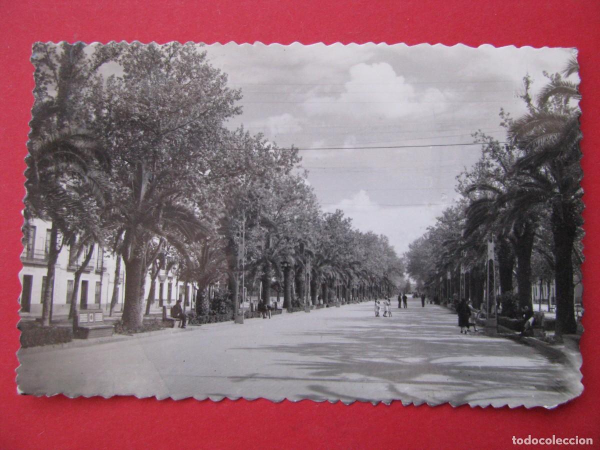 Postkarten: POSTAL FOTOGRAFICA DE LINARES. PASEO DE LINAREJOS. SICILIA. ESCRITA.