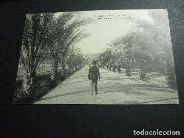 Postcards: MALAGA EL PARQUE PASEO DE LAS PALMERAS