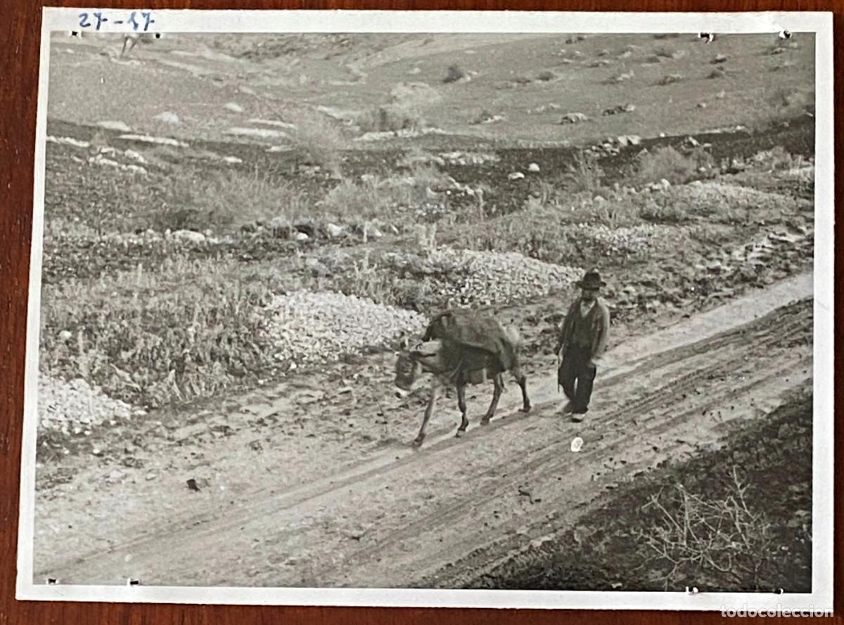 Cartes Postales: FOTOGRAFIA DE LA SERRANIA DE RONDA (MALAGA) 1942, MIDE 11,8 X 8.8 CMS.