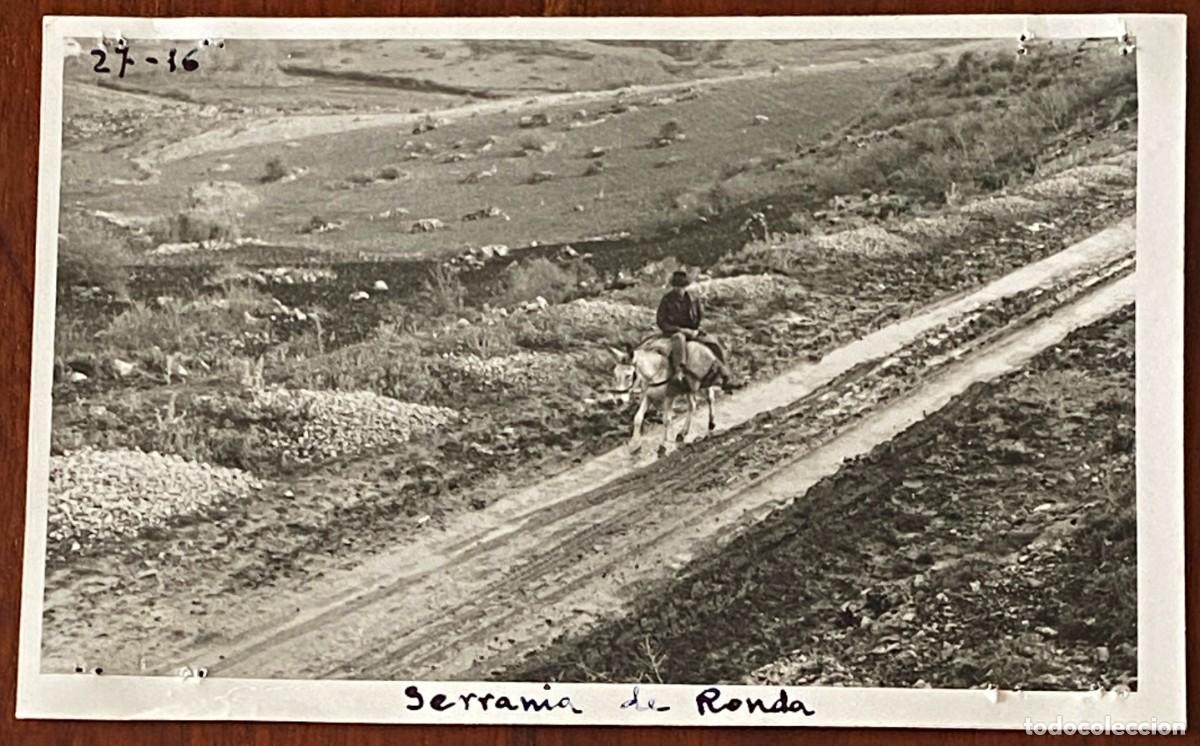 Cartes Postales: FOTO POSTAL DE LA SERRANIA DE RONDA (MALAGA) 1942, MIDE 14 X 8.8 CMS.