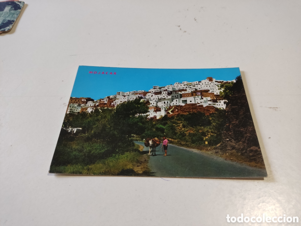 Postales: Postal Moj&aacute;car mujer con burro - Foto 1